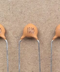 Ceramic Capacitors 101K 1kv