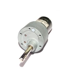 Johnson Motor 10 RPM