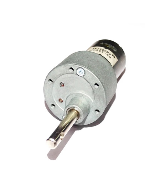 Johnson Motor 10 RPM