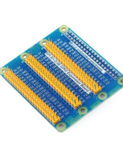 Raspberry Pi GPIO
