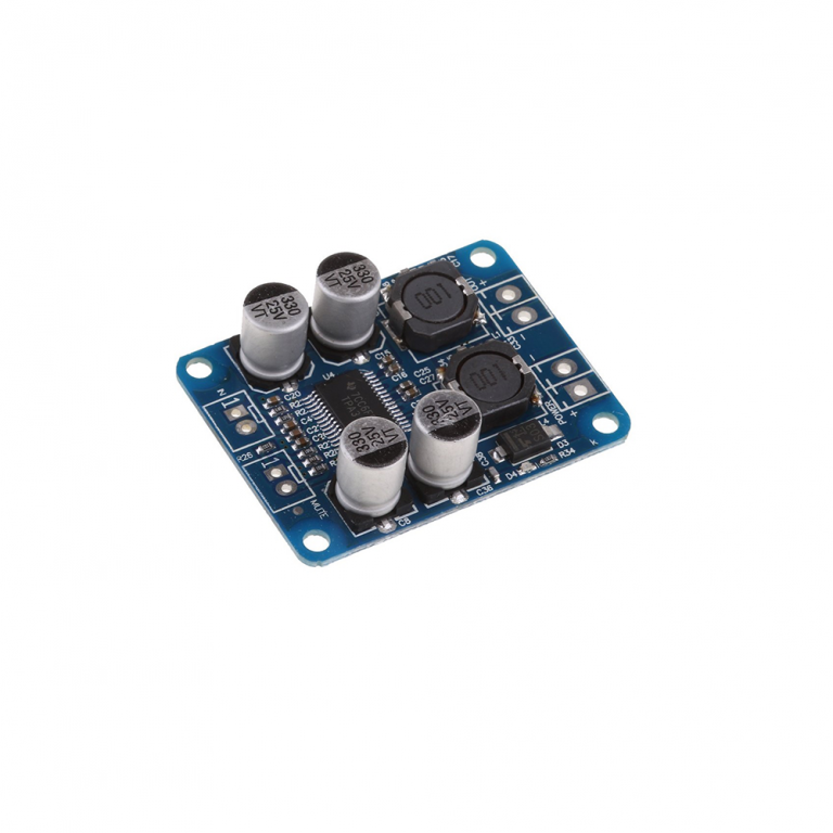 TPA3118 Mono Digital Amplifier Board Best Quality