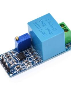 ZMPT101B